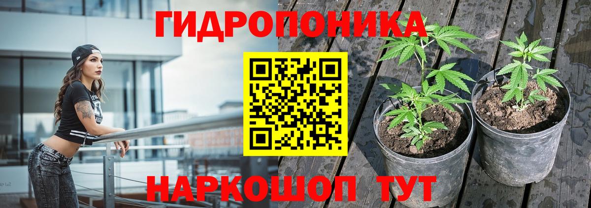 Марихуана сатива  Вход с VPN  Марихуана ГИДРОПОН  Бутурлиновка  МАРИХУАНА SATIVA & INDICA 