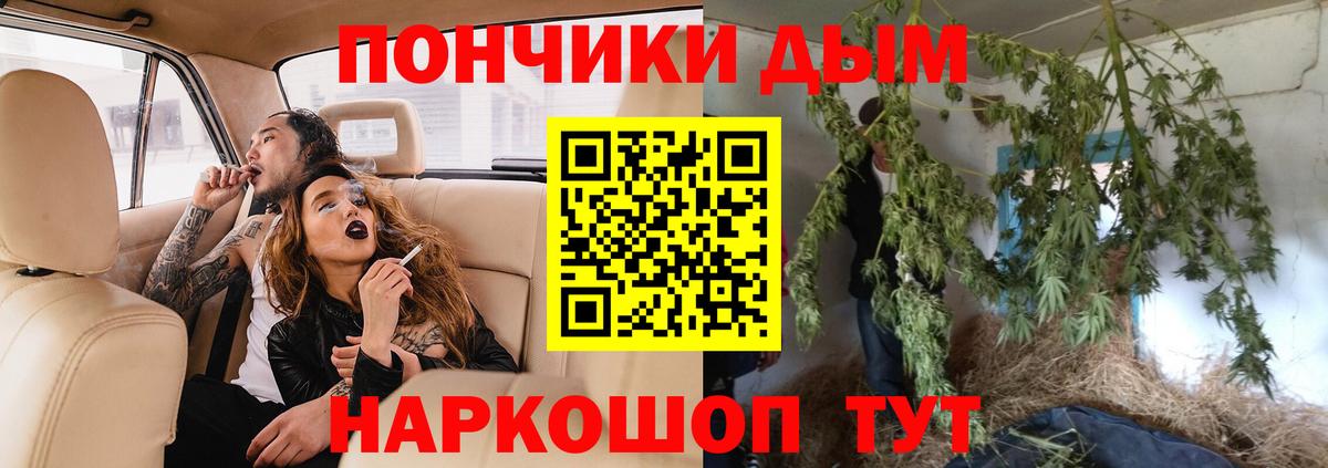 Бошки марихуана сатива Бутурлиновка